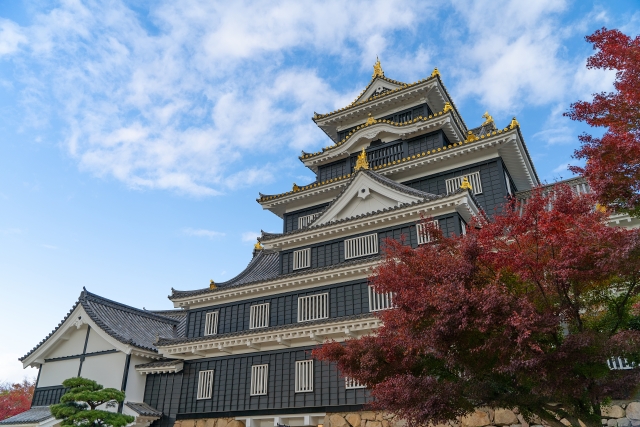 岡山城