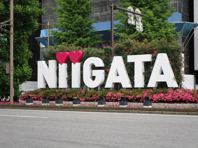 新潟NIIGATA ロゴ
